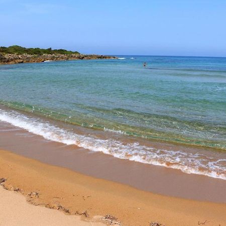 Cozy Flats In An Olive Grove By The Sandy Beach Kánalos 외부 사진