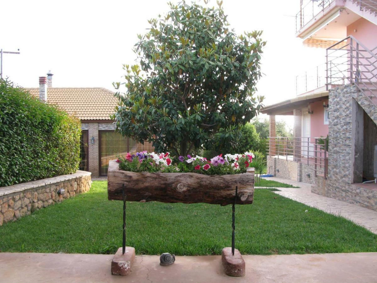 Cozy Flats In An Olive Grove By The Sandy Beach Kánalos 외부 사진